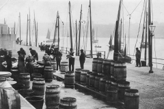 Barreling Herring at Peel